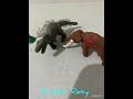Mamut vs Rex