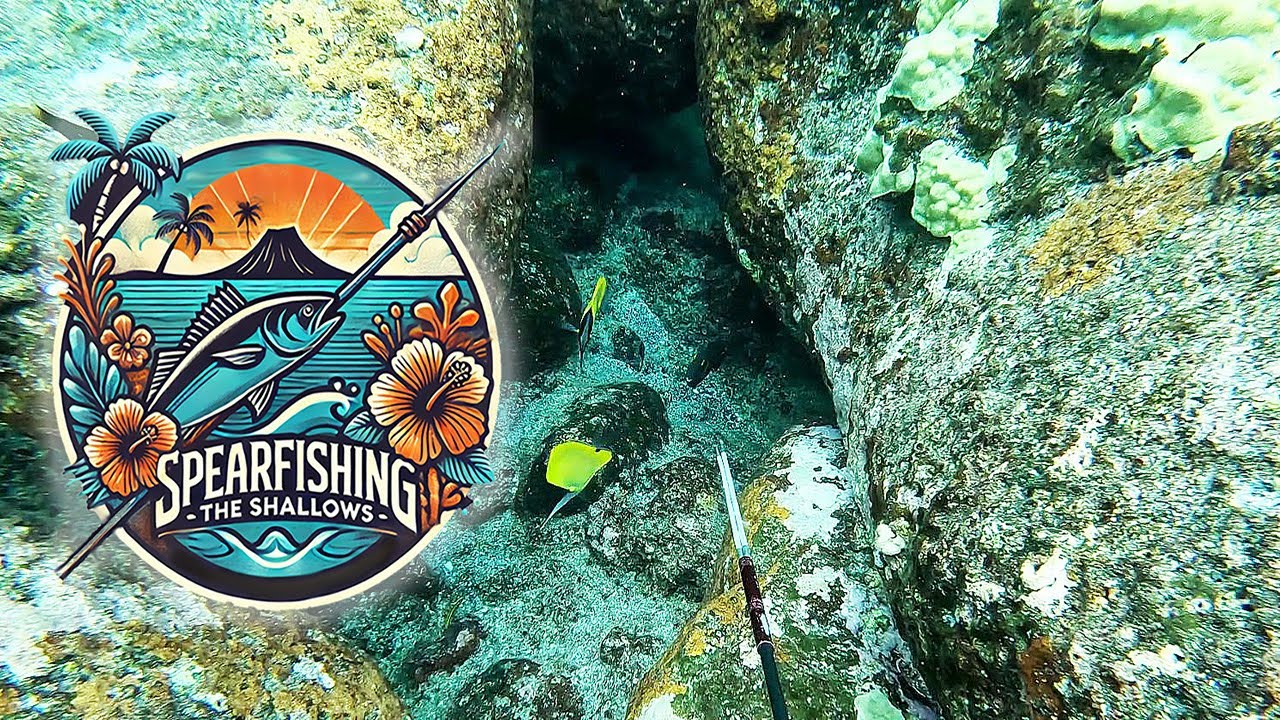 Spearfishing the Shallows of the Big Island of Hawaii - 3 pronging for Pan Fry Fish
