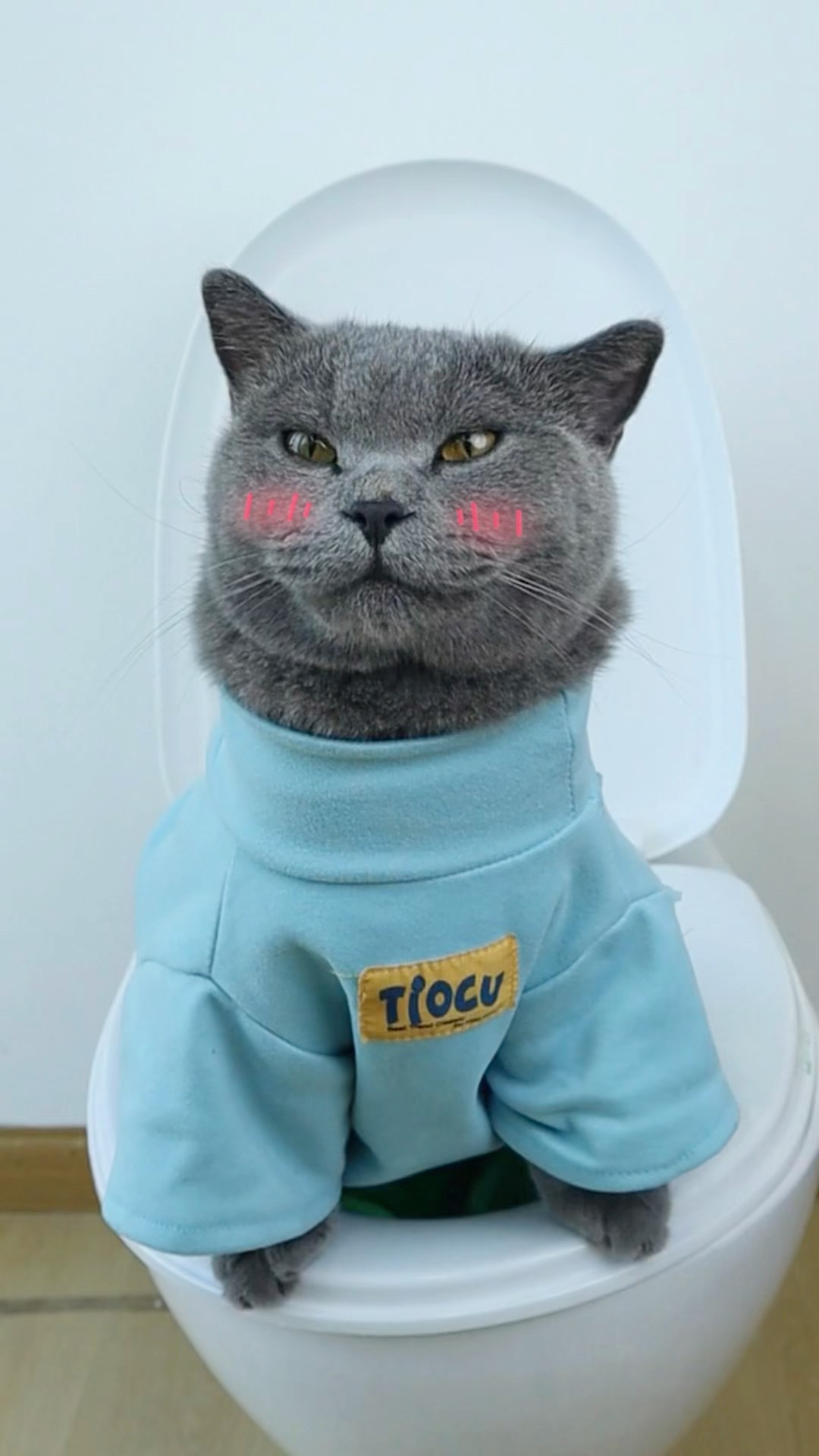 Amazing!? How To Revive And Help An Injured Barbie??‍♀️? #funnycat #catmemes #trending