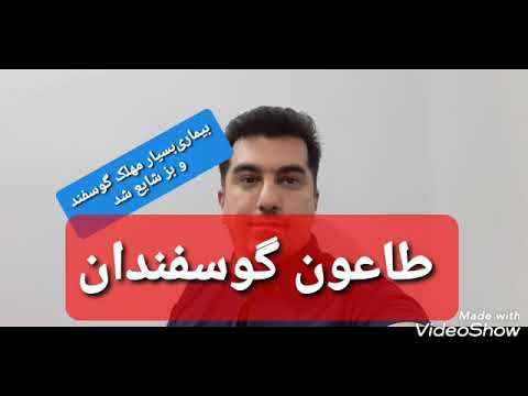 تصویری: چرا بز مخفف است؟