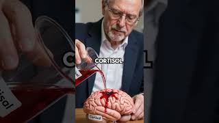 Yelling at Kids Actually Shrinks Their Brain - Stanford Study Reveals Shocking Truth