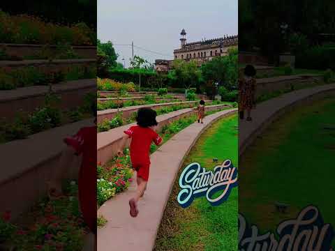 daily mini vlog #dailyvlog #reels #viral