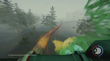 The Forest Turtle Shell Slide