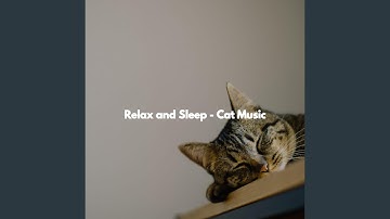 Charming Backdrops for Open Work Floors