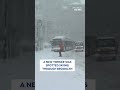 A New Yorker was spotted skiing through Brooklyn