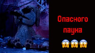 Ты встретил это насекомое: