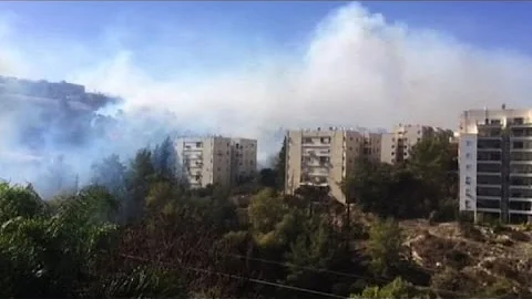 Hundreds evacuated as bushfires near Israel's Haifa
