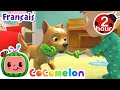 Bingo  chansons pour bbs  cocomelon le coin des animaux de jj  comptines