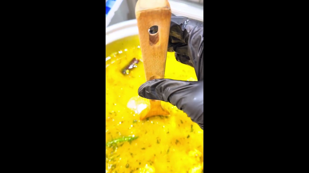 معقولة مموش لوبستر؟؟