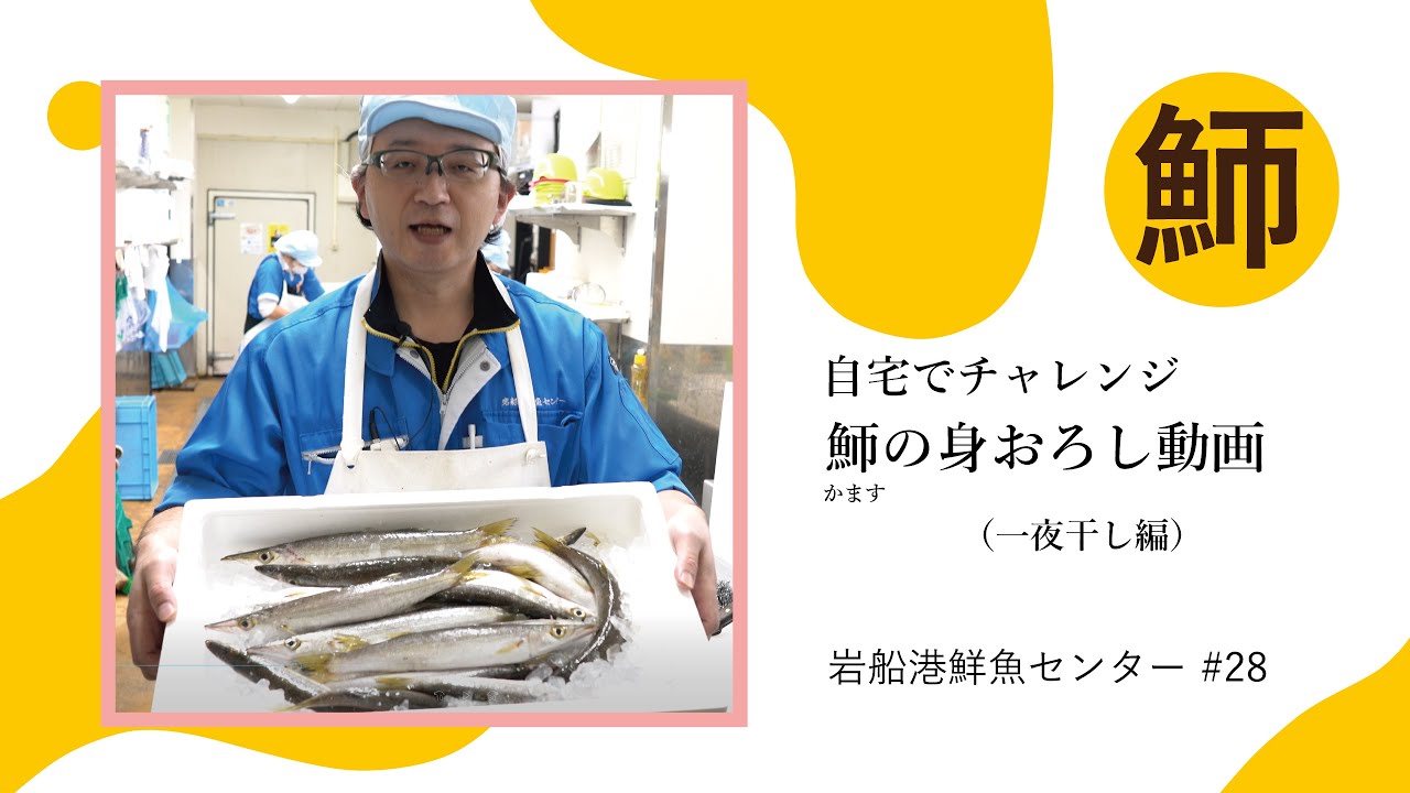 岩船港鮮魚センター 28 簡単 カマスの一夜干し 自宅でチャレンジ鮮魚センター川村の 身おろし動画 Youtube