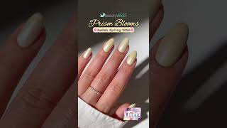 Complete set. Perfect presentation #nailtechlife #nailtrends2026 #nailbusiness #beautywests #nails