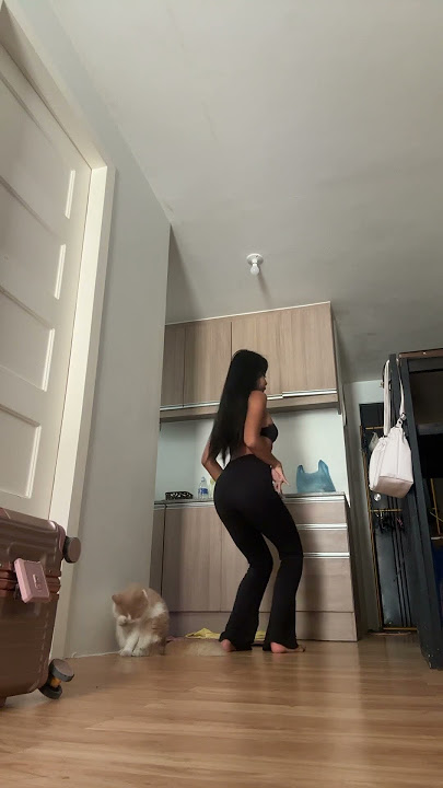 Dancing with Kimmy my cat #shorts #cat
