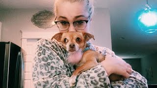 Country Star RaeLynn Pleads For Help Finding Her Missing Dog Country Star RaeLynn Pleads For Help Finding Her Missing Dog