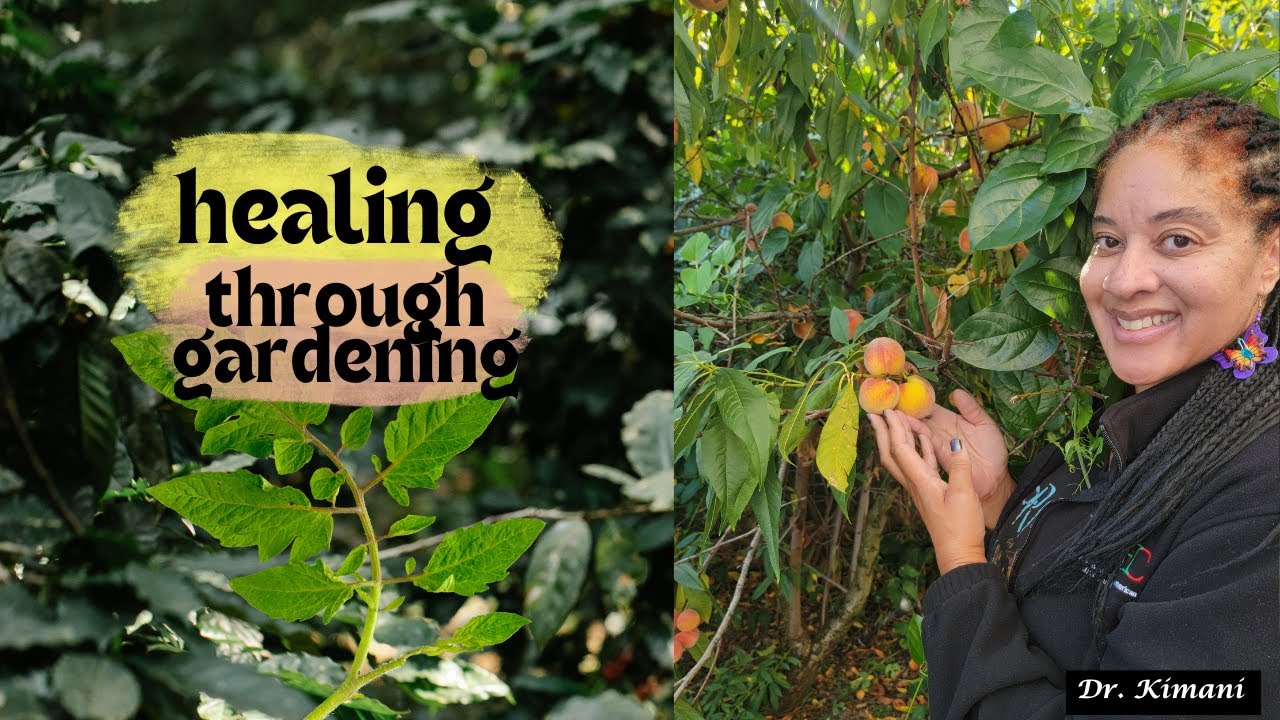 Садоводство как средство исцеления: как садоводство может помочь чернокожим женщинам в трудные вр...