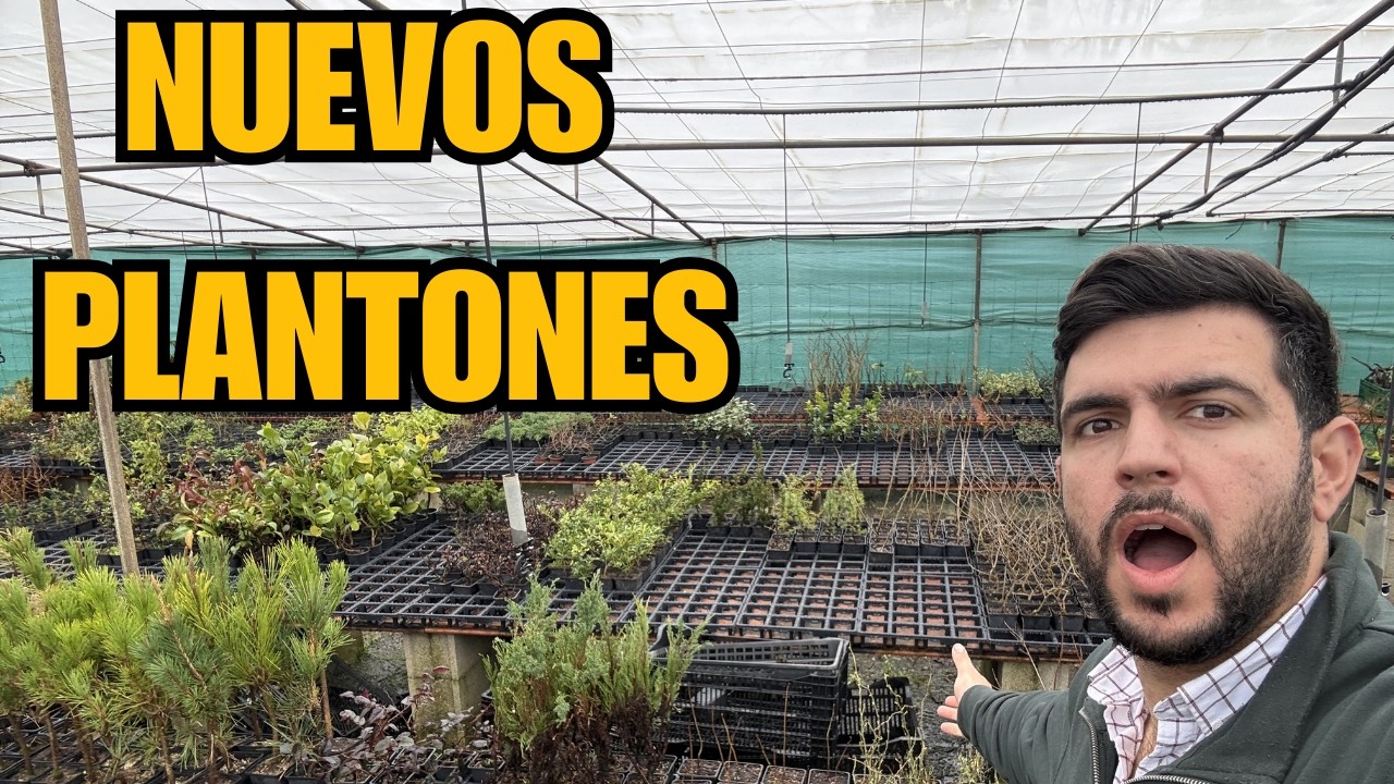 NUEVOS PLANTONES DISPONIBLES  y muchas novedades próximamente!!!