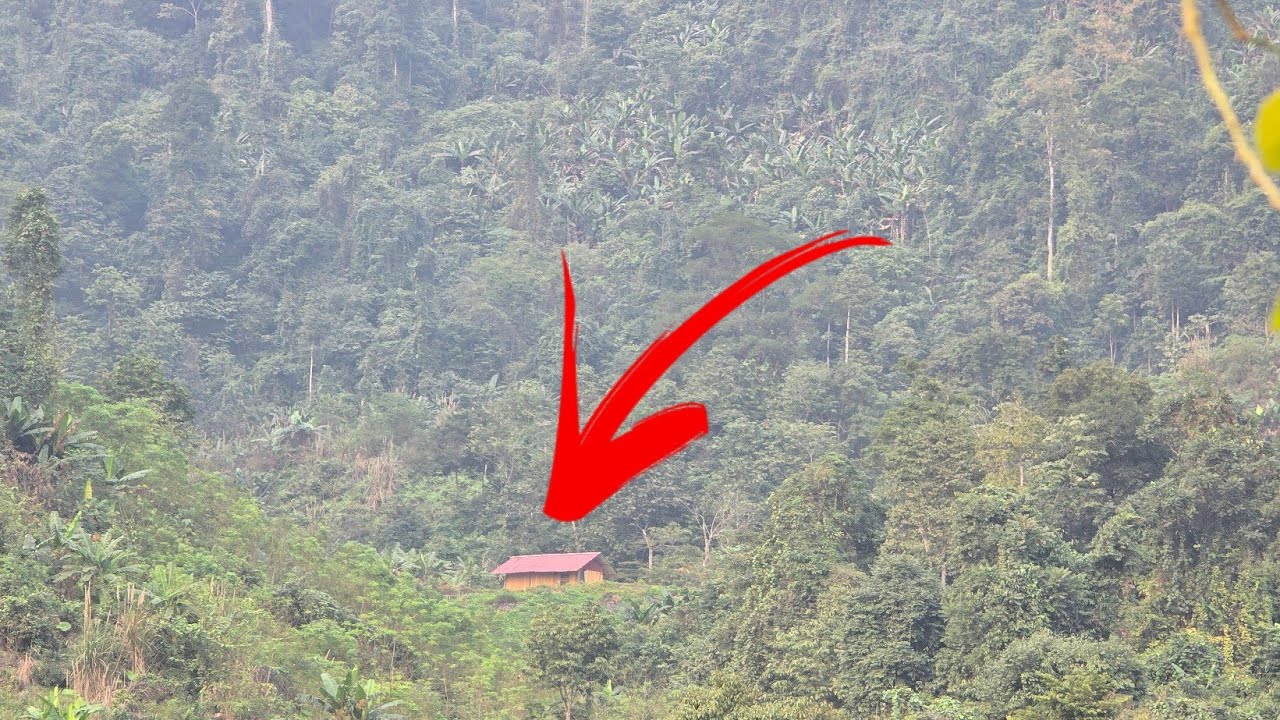 Ly Tien Ca built a wooden house on the mountain embarking on a journey of living in the green forest