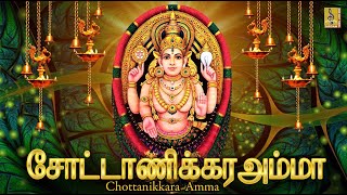 சோட்டாணிக்கரஅம்மா | Chottanikkara Amma | Devi devotional song | sung by T.L Maharajan \u0026 Krishnaraj