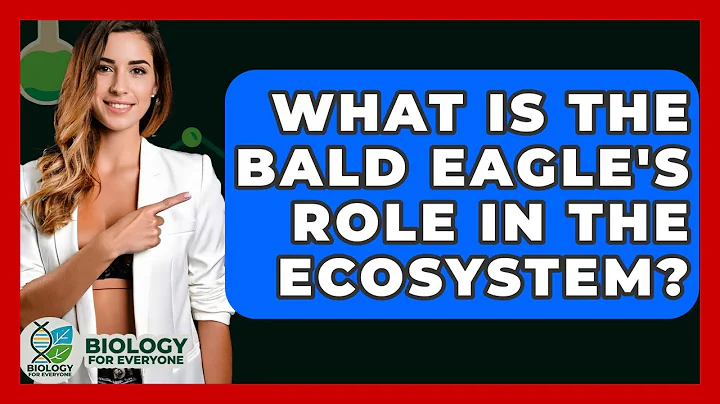 What Is The Bald Eagle's Role In The Ecosystem? - Biology For Everyone