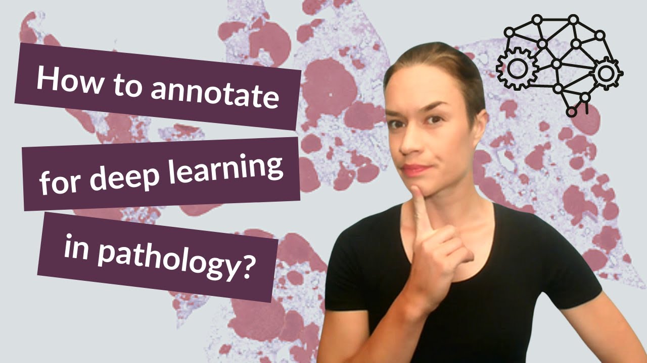 Number one tip on how to annotate pathology images for deep learning image analysis.