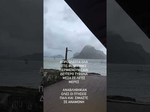 Η Στέλλα Γεωργιάδου για τον υπερτυφώνα στις Φιλιππίνες