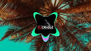 Sean Rii - Chu Chu [DJ Cradle To The Grave remix] PNG Music 2022