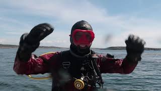 Diving At Arvaskär Varberg Sweden