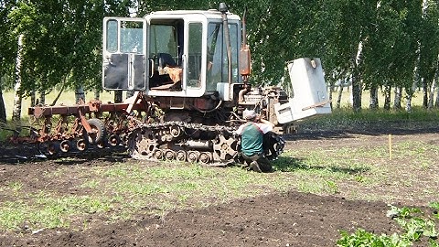 Tractor T-70cm inter-row cultivation of sugar beet /// Трактор Т-70СМ междурядная обработка