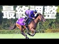 【ドウデュース】最終追い切り