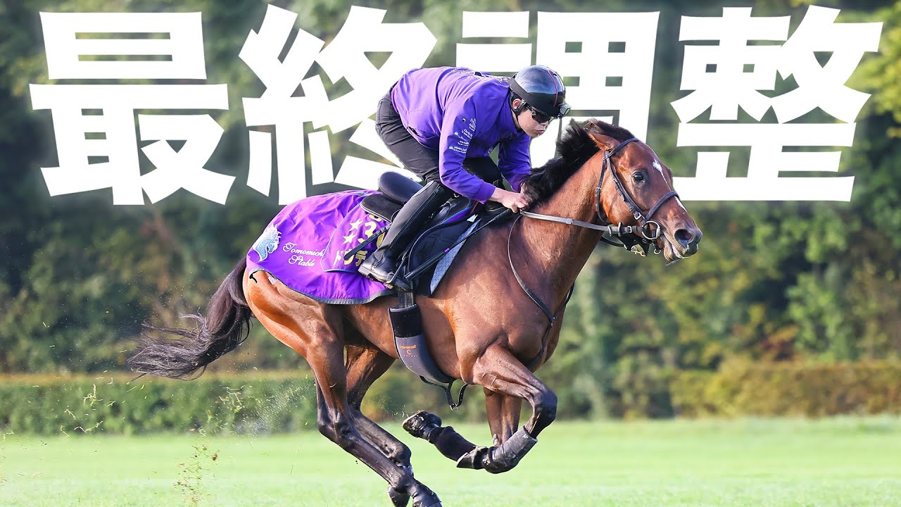 【ドウデュース】最終追い切り