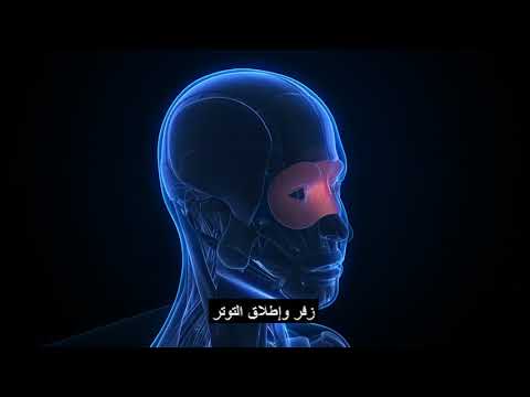 تمرين استرخاء العضلات التدريجي / مترجم (Progressive Muscle Relaxation (PMR