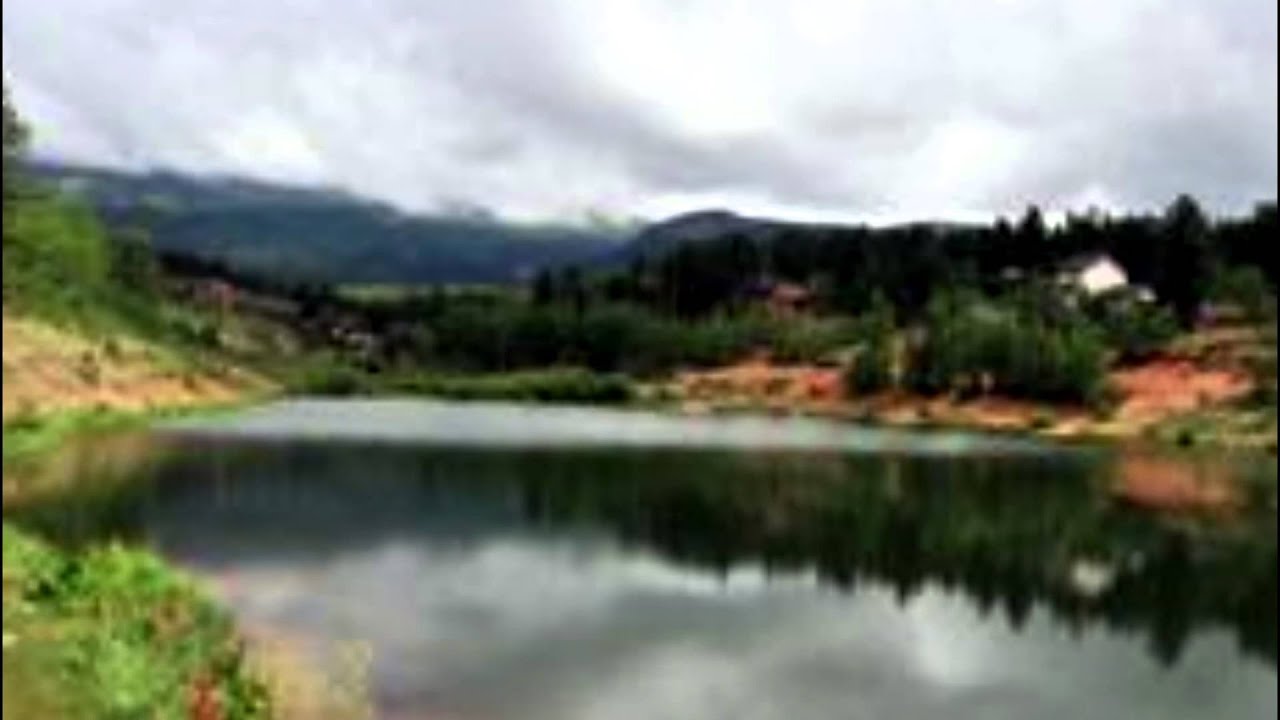 96 Park Drive, Harris Park, Colorado. YouTube