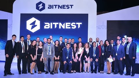 Bitnest WEB 3.0 Smart Contract 100%