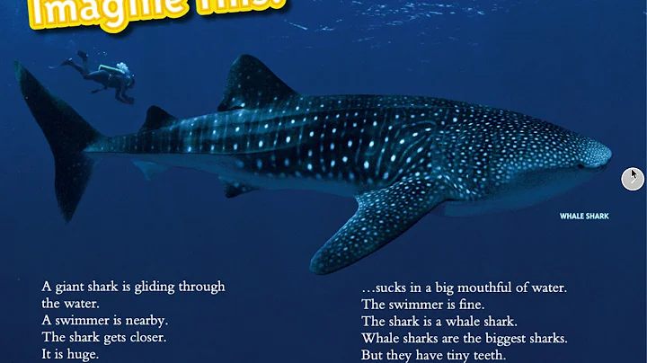 Sharks by Anne Schreiber Read Aloud