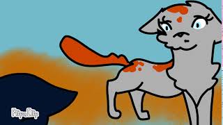 Rosetail x Bluefur MAP part 9
This is a thing :)
I hope you like it oof Rosetail x Bluefur MAP part 9