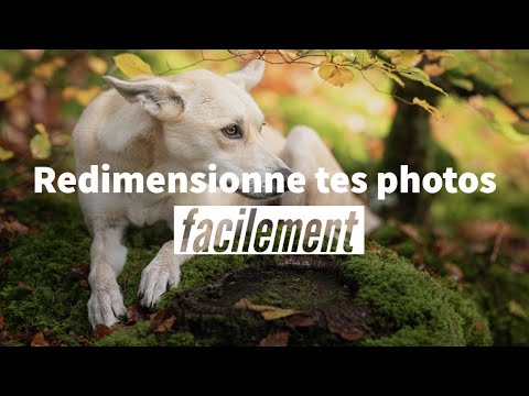 Vidéo: 3 façons de flouter partiellement les zones d'une photo avec Photoshop