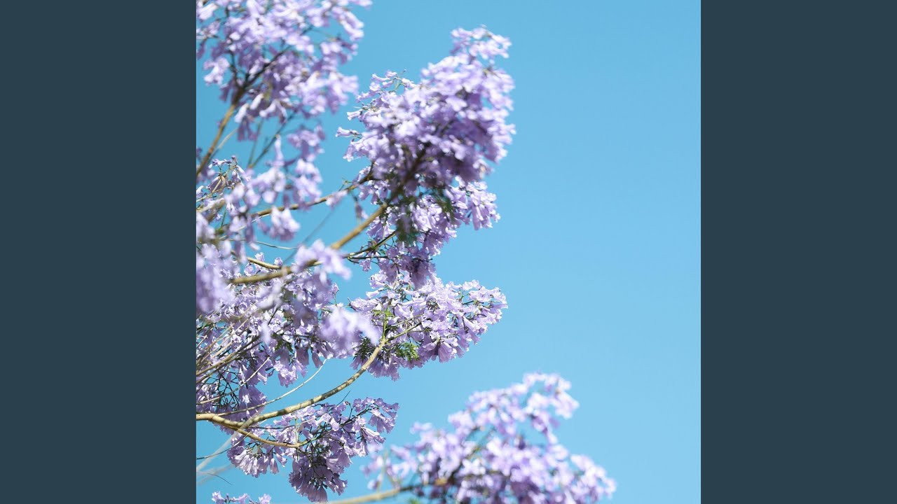 Farshi is this Mystery