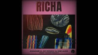Idd Aziz, AMEME, Tamir Regev, Avi Snow - Richa (Original Mix)