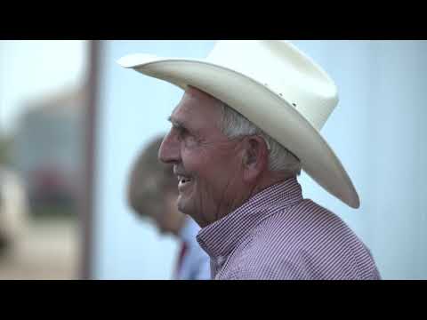 Sunshine Bible Academy Cattle Program