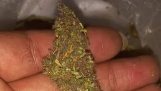 chunky bud well seedless legalize cannabis Nepal #strains#hunters#555#jay#samboo