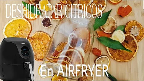 ¿Cómo se deshidrata en una Airfryer?