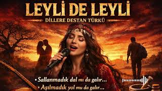 Leyli De Leyli Bir Acı Rüzgar Esince Anatolian Psychedelic Rock Cover