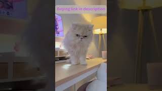 Amazon must haves tiktok:Sipobuy Pet Space  #shorts