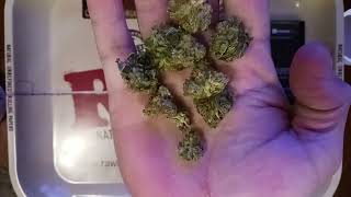 Night Owl Haze popcorn 21.1% Rise Fruitland Park