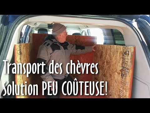 Vidéo: Comment Transporter Des Chèvres