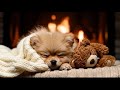 12 Hours of Calming music for dogs 🦮 Dog Music for Stress Relief 🐶 Dog Anxiety Music💖No Ads