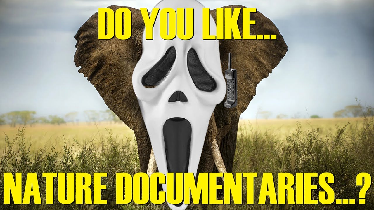 Murderous Self-Driving Cars | Serial Killer Elephant | Reddit Man | This Week in Weird! #70