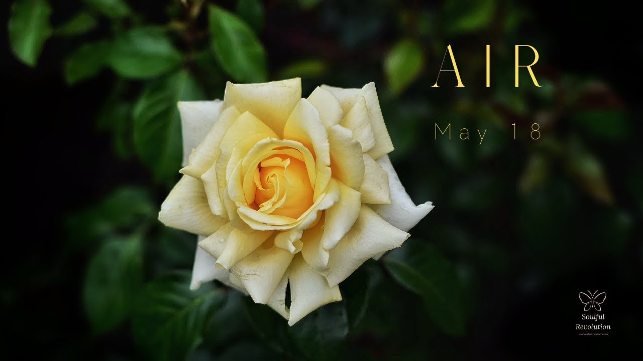 They come back....questions need answering, AIR Sign May 18 Gemini Libra Aquarius