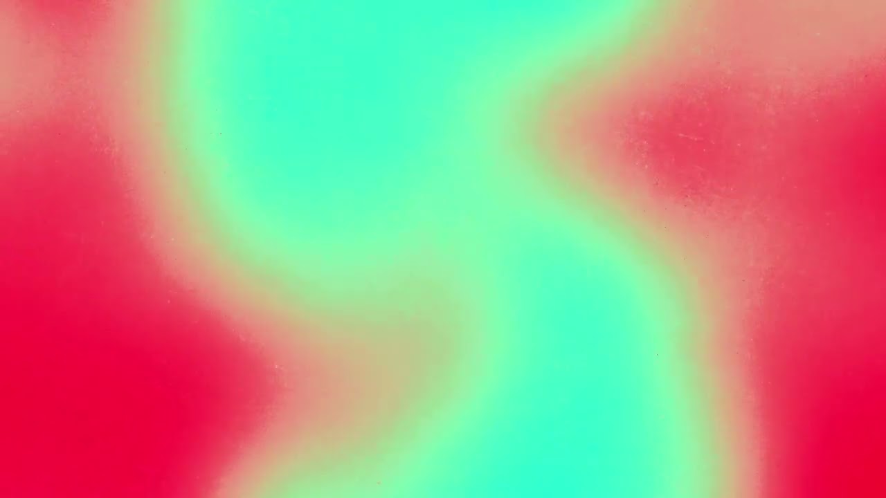 HOLLY - Olive Byrne (Visualizer)