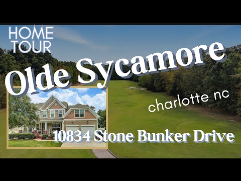 10834 Stone Bunker Dr, Charlotte, NC home video tour