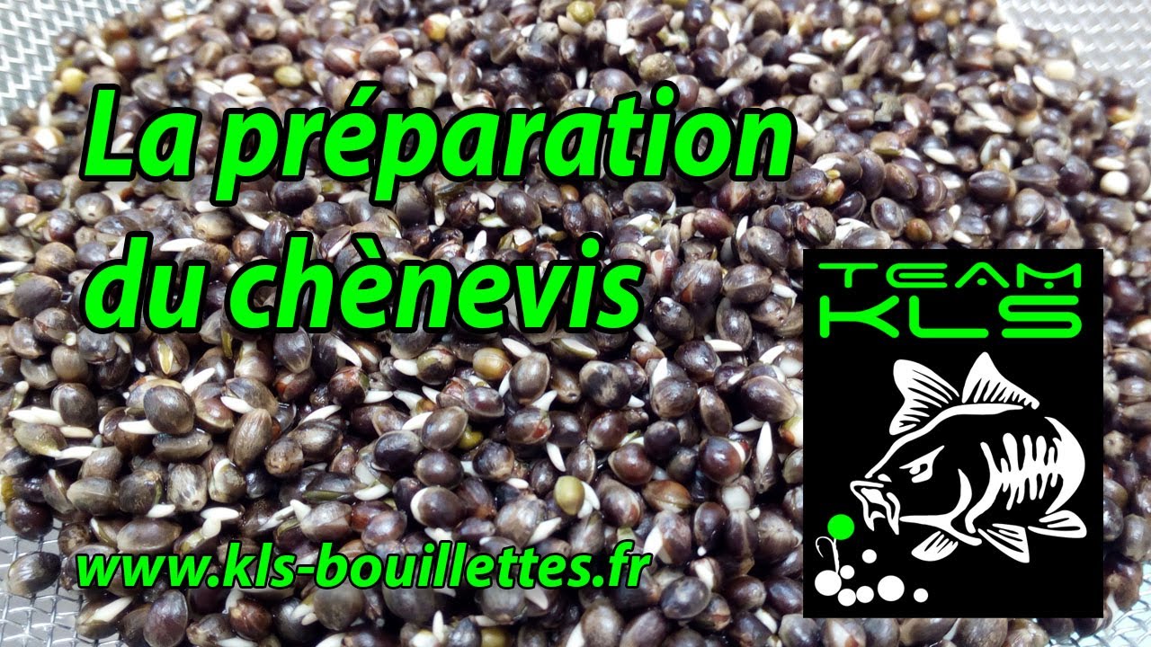Chènevis en vrac - Les graines de Michel